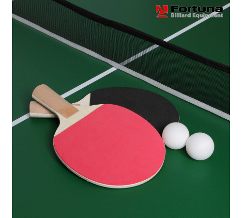 Бильярдный стол Fortuna Снукер 6фт 9 в 1 с комплектом аксессуаров